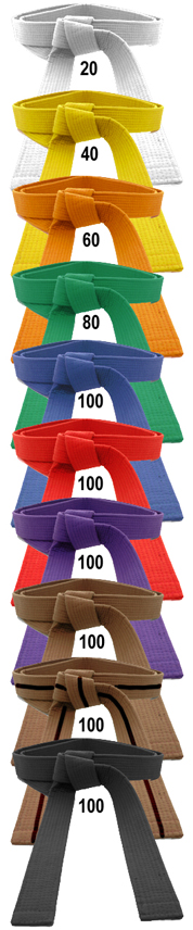 Aikido belts in order hotsell