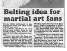 Belting idea for martial arts fans