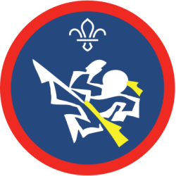 activity-sc-martial-arts